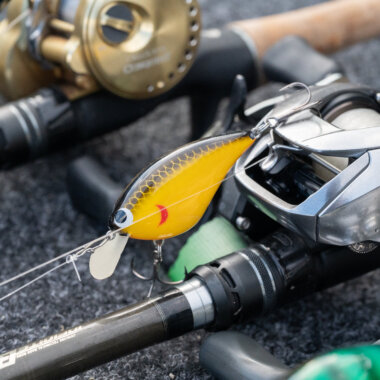 skillfulのWEBサイトがオープンしました