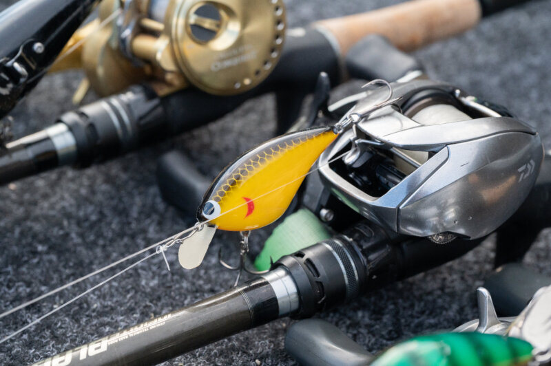 skillfulのWEBサイトがオープンしました